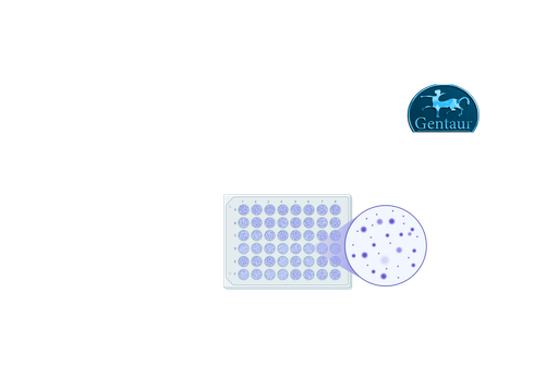 [RD194015200R] ELISA Kits Human Interleukin-6 