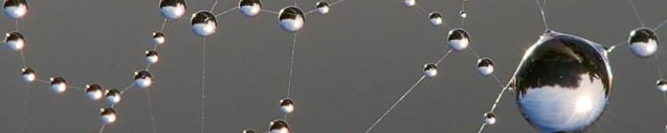 Science Collaboration